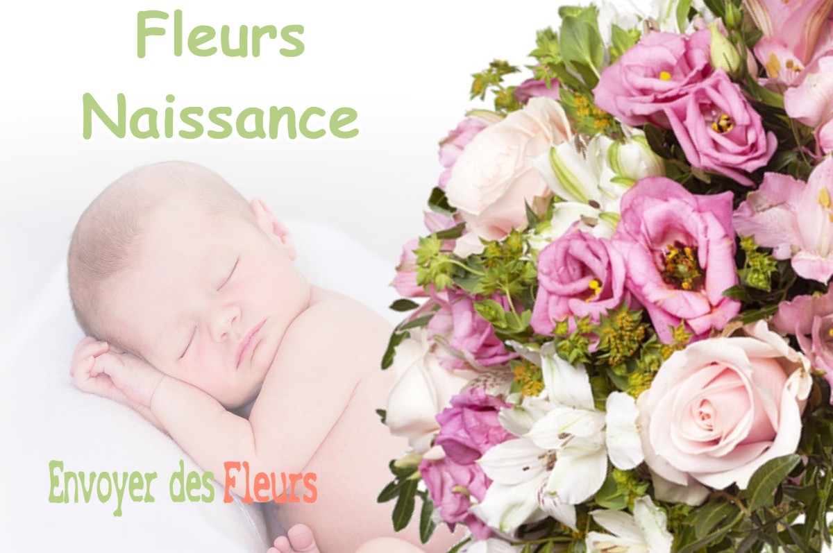 lIVRAISON FLEURS NAISSANCE à JANNEYRIAS